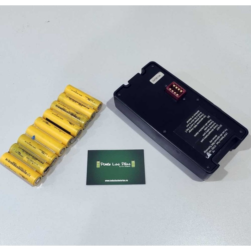 Re-Cell Service for 27V Lifepo4 RMG Minisort 2391 battery