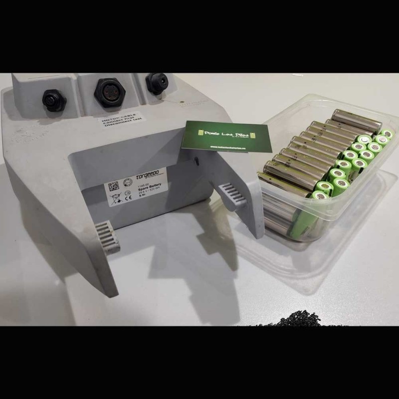 Batería Torqeedo 1145-00 29.6V | Reparación o Reacondicionada | PLP Batteries