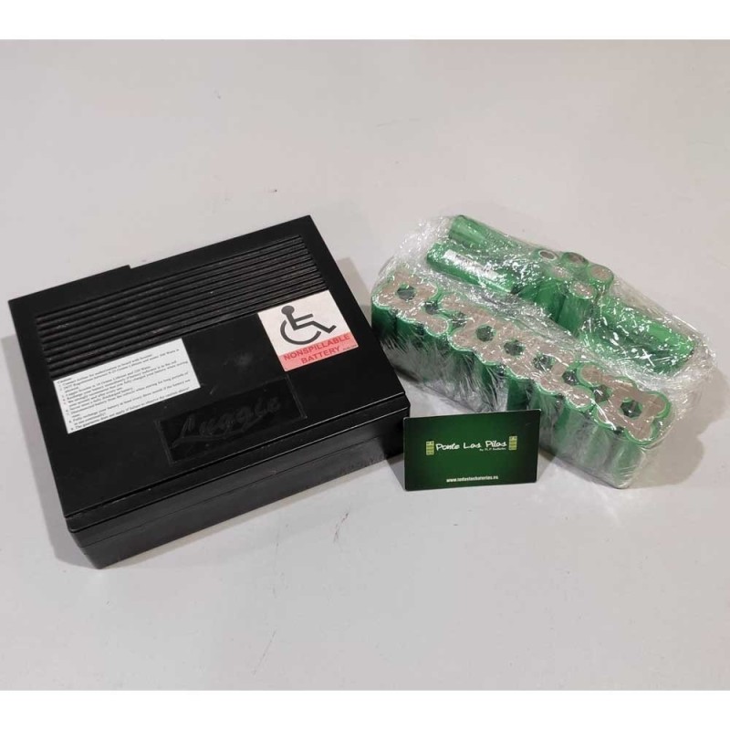 Re-Cell Service for Luggie Scooter Lithium 25.2v battery