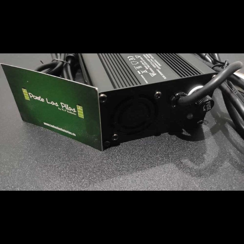 Cargador C300 10.8V-12.6V 10A Li-Ion | Comprar Online | PLP Batteries