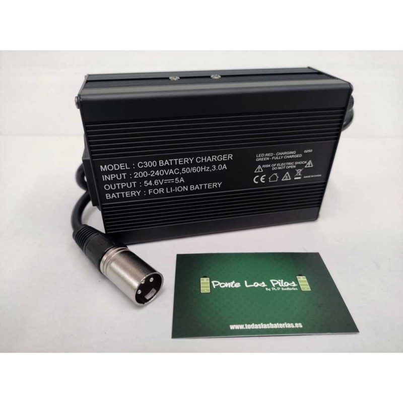 Charger C300 48V-54.6V 5Ah Li-Ion Batteries