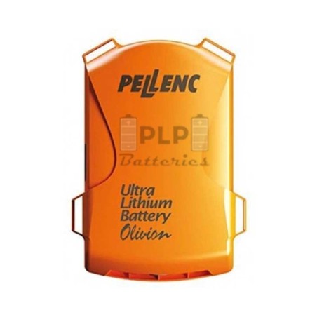 Re-Cell Service of the Pellenc 600 Lithium-Ion Battery