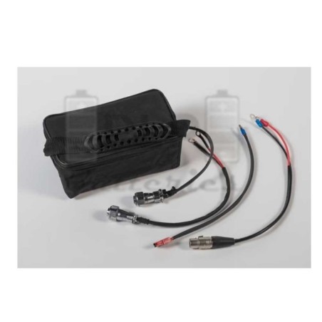 Batería Carro Golf Li-Ion 25.2V | Reparación o Reacondicionada | PLP Batteries