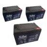Kit 3 Baterías AGM Scooter 36V 12Ah | Comprar Online | PLP Batteries