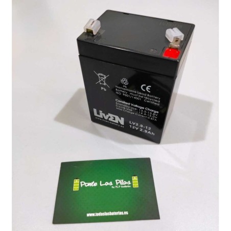 AGM Battery 12V 2.9Ah Liven T1 Connection